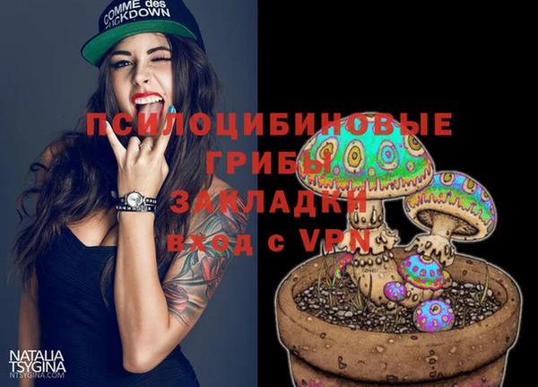 дживик Белоозёрский