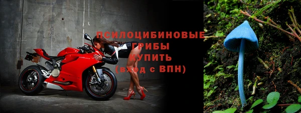 дживик Белоозёрский