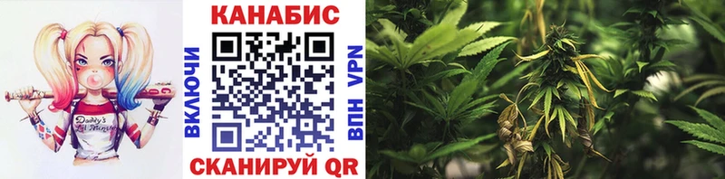 Марихуана гибрид Высоковск
